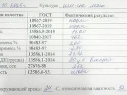 Пшеница 2 класса (по параметрам клейковины), чистая, сухая, подходит для хлебопечения и переработк