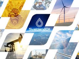 20% доля в уставном капитале, ТОО "Светланд-Ойл"