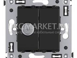 4402513 Розетка Tv Проходная В Стену, "Avanti", "Черный Квадрат"
