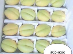Абрикос
