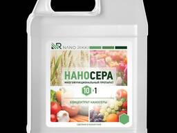 Агро препарат NANO RIKI нано сера