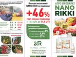 Агро препарат NANO RIKI нано сера - фото 2