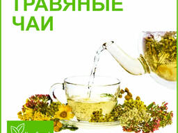 Алтайские травяные чаи и сборы