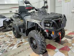 AODES PATHCROSS 650 L 2023 г.