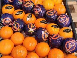 Апельсин Fukumoto