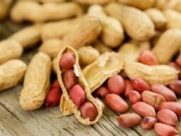 Арахис в скорлупе