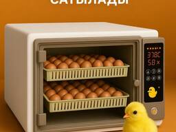 Arbeee Инкубатор