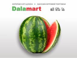 Арбузы оптом