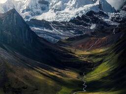 Қаржы қызметтері, дағдарыс менеджері, оңтайландыру, операциялық шығындарды азайту