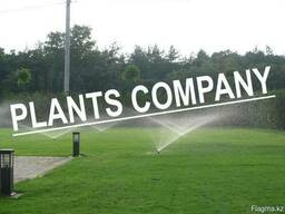 Автополив монтаж проектирование