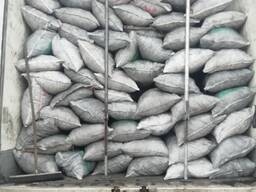 Қайың көмірі