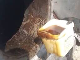 Баковый осадок (фуза подсолнечного масла), соапсток, гидрофуз