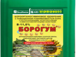 Башинком Борогум