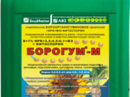 Башинком Борогум-М