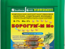 Башинком Борогум-М Мо
