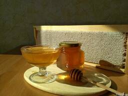 Башкирский мёд
