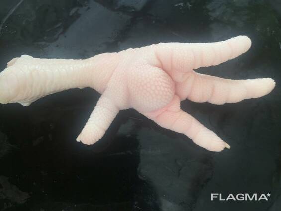 Танауы арқылы аяқталды Танауы арқылы аяқталды