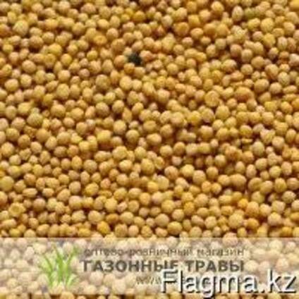 Белая горчица