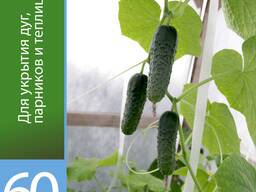 Белый укрывной материал 60 плотности