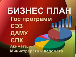 Бизнес план в Гос структуры Акимат, СПК, СЭЗ, министрества и ведомства