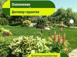 Благоустройство участка укладка Газона Астана