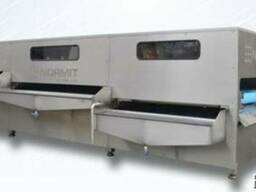 Бланширователь ленточный