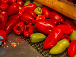 Болгарский перец (Казахстан) - замороженный - photo 1