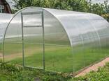 Теплицы всех размеров из поликарбоната или пленки - фото 1
