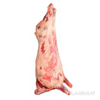 Бык тушевой