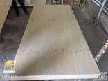 CDX pine plywood-CDX сосновая фанера - photo 2