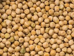Чечевица, горох, нут, пшеница