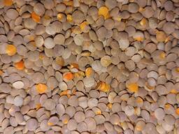 Чечевица красная