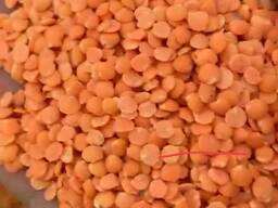 Чечевица красная крупа