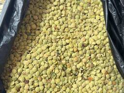 Чечевица, лен