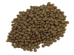 Чечевица :Лира, Импала, Гарнет, Даная, Черная Жемчужина