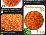 Чечевица оранжевый - фото 1