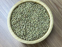 Чечевица зеленая (GREEN LENTILS)
