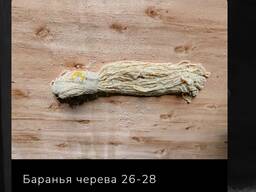 Черева баранья
