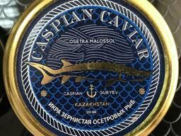 Черная икра