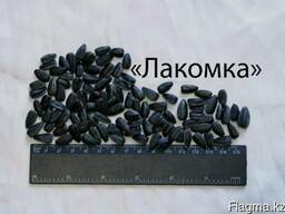 Черные семечки