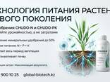 Чудо N, удобрение заменяющее до 50% внесения минерального азота, аммиачной селитры - фото 3