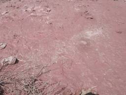 Цинк мед свинец