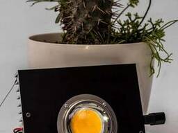 CREE 100W CXB3590 IOS / Android қолданбасы, LED фитоламасы