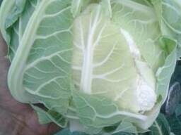 Цветная капуста