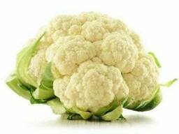 Цветная Капуста