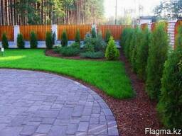 Мульча кора сосновая 60 литров