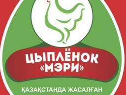 Цыплёнок Мэри