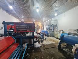 Действующий бизнес Химчистка ковров