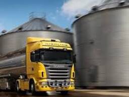 Дизельное топливо