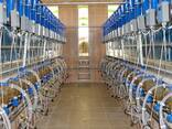Доильный зал (параллель, ёлочка, карусель). Турция - фото 1